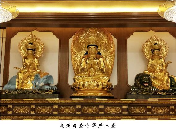 ���ڶ���